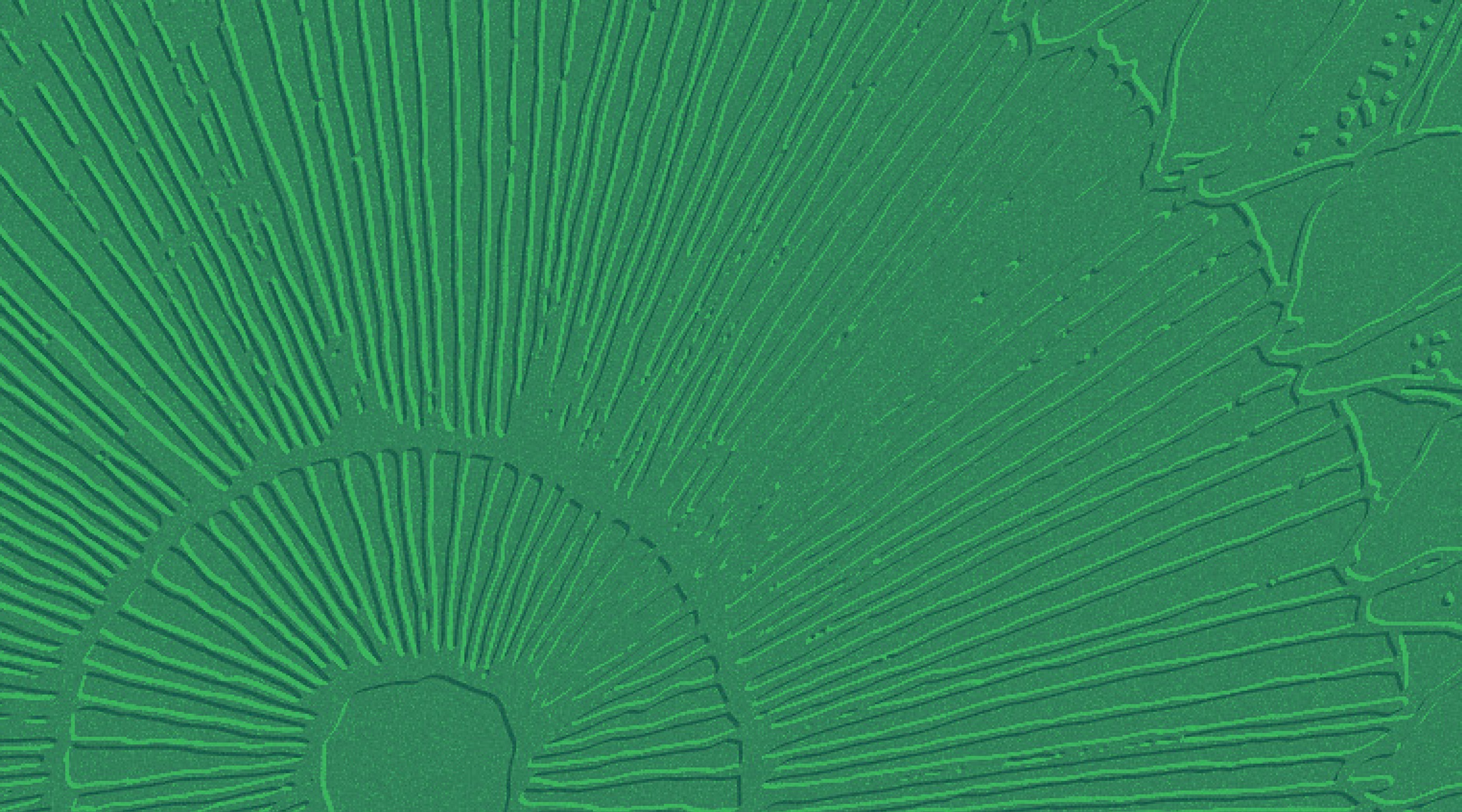 THREADS OF OSMOSIS | Case Study (Part Two)