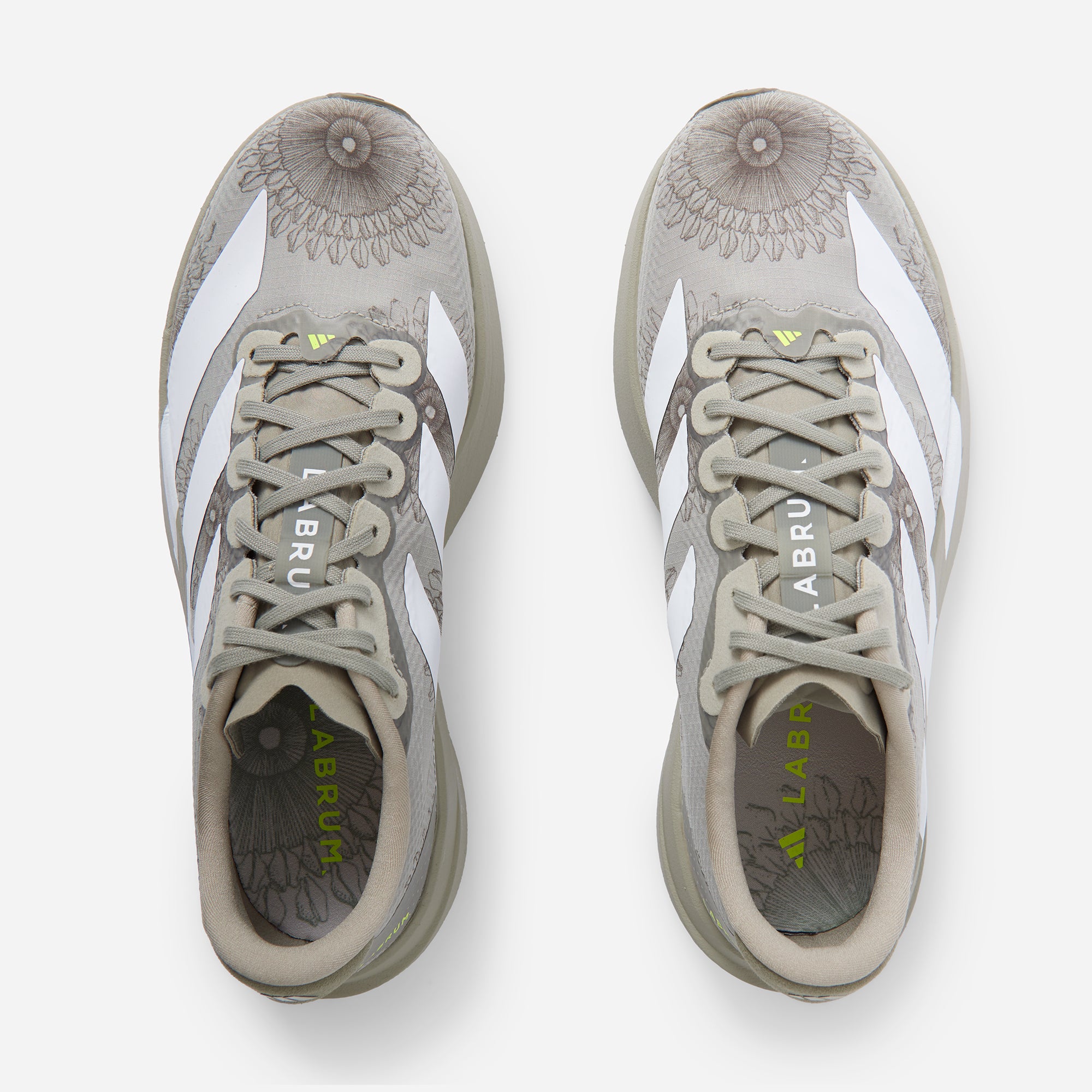 LABRUM x adidas Adizero EVO SL